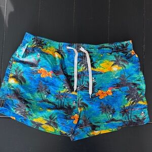 Tropical Blue Swim Trunks